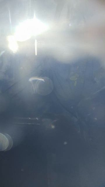 Погружение в воду Алтан и Алдар