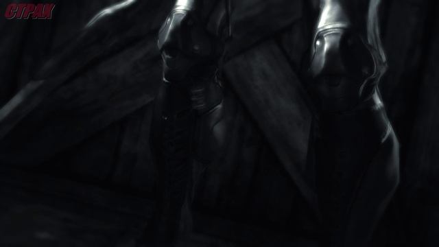 Dark Sector