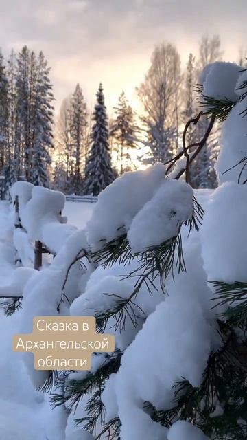 Настоящая зима в Архангельской области #travelstory