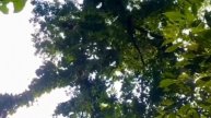 IMG_20250512_082752_385.mp4