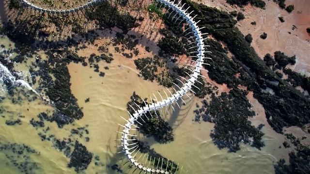 ЭТО_МЕСТО_ПОЖИРАЕТ_ДИКИХ_ЖИВОТНЫХ_ЗАЖИВО