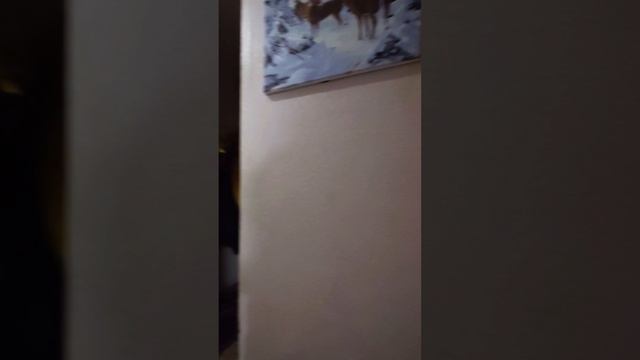 г. Томск, ул. Герасименко 3/11.mp4