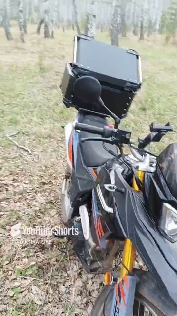 Травка зеленеет, солнышко блестит! #природа #мотоцикл #Ranger300 #весна #лес