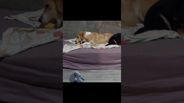 Вечер, каждый занят своим делом