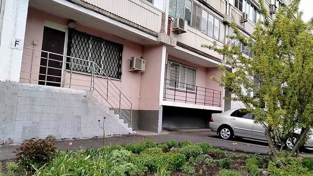 Мои пионы с дачи около нашего подъезда в Москве, май 2025