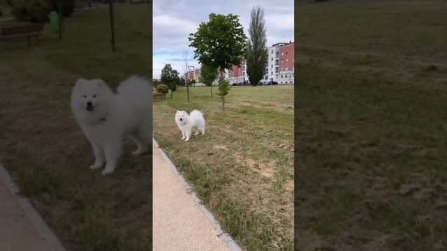 Кристина Бухынбалтэ спустя долгое время встретилась с Лео 🤍