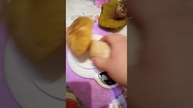 Вес грибов