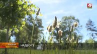 Погода на Могилевщине 14.06.2024 // Днем кратковременные ос