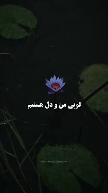 Аҳмад Зоҳир - حتما تا اخر ببین ضرر نمیکنی