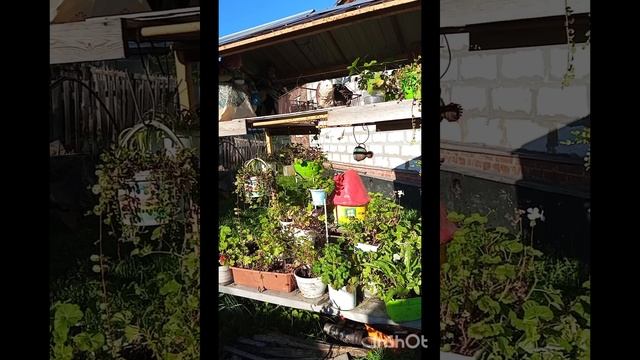 1000004638.mp4