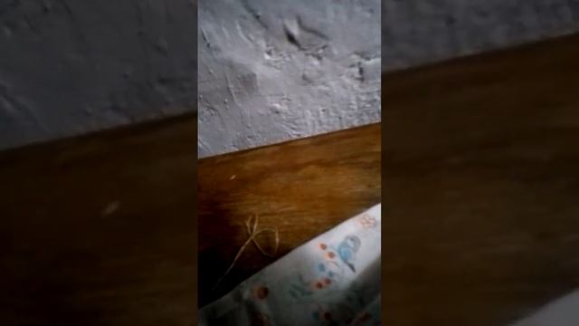60 лет этой швейной машинке!А она шьёт,как новая!
