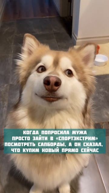 Всем бы таких мужей😄