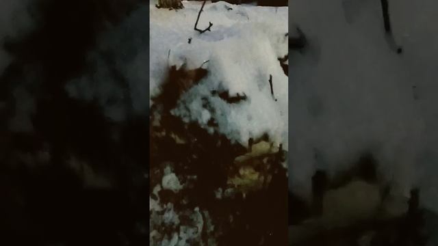 слежка через микроволновку шутка