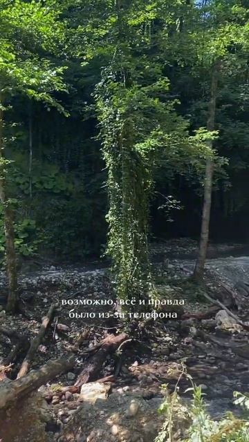 лето - самое время для того, чтобы наблюдать за природой вокруг. не теряйте моменты ✨
