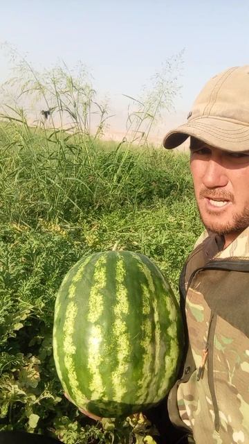 #trend ВСЕМ АСАЛОМУ АЛАЕКУМ ВЕС МИР КУТО МЕНЯ УВДИТ СМОТИ