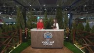 О развитии КРЕАТИВНОЙ ЭКОНОМИКИ, которая становится настоящей таблеткой РОСТА для МАЛЫХ ГОРОДОВ