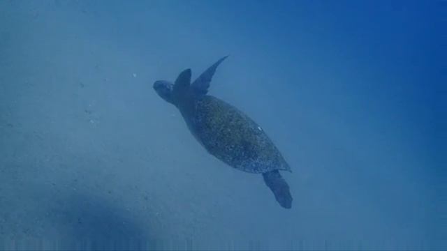 Video 20250512-04.mp4