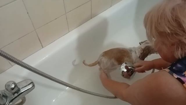 Мойдодыр,Гарик принимает SPA