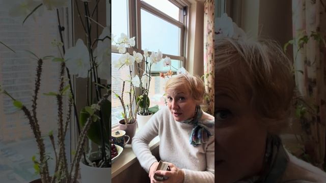 ТАРО прогноз - СТРЕЛЕЦ. 17-23 Марта 2025. TAROT forecast - Sagittarius. 17-2