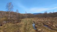 Видео с места