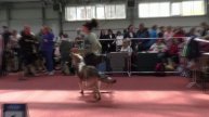 Тор из Империи Древних Воинов