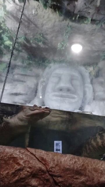 Зачем съедать друг друга?
