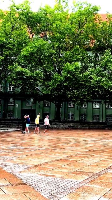 Всё на камеру: непредсказуемые кадры
