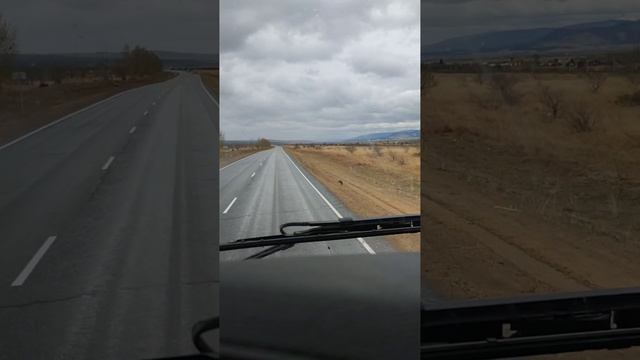 1000007163.mp4