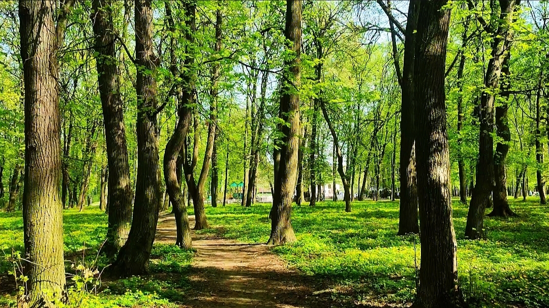 Весенняя прогулка по ЦПКиО в Рязани