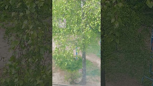 1000007687.mp4