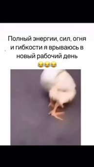 Полон сил и энергии
