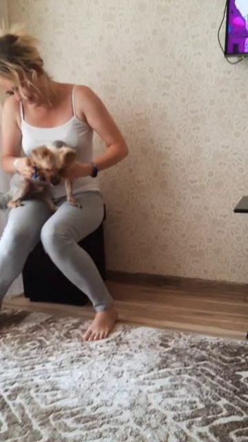Пёс Ричард в своём репертуаре Неприступник Непослушник