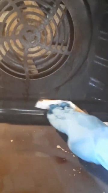 У духовки ,,чистый четверг,,