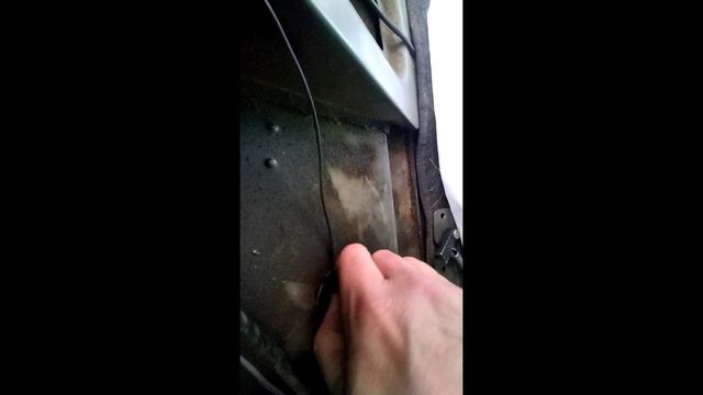 Симпатичные болты номера (3102 Волга)