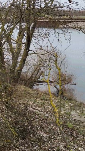 Рыбалка весной на грунт. 04.03.2023.река Майн.