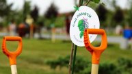 Югорчан приглашают принять участие в международной акции «Сад Памяти»