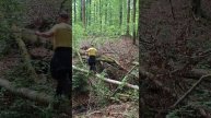 1000017606.mp4