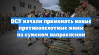 ВСУ начали применять новые противопехотные мины на сумском направлении