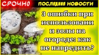 3 ошибки при использовании золы на огороде: как не навредить растениям и почве
