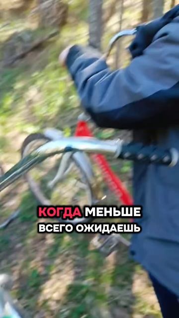 Если сегодня нужен знак - вот он