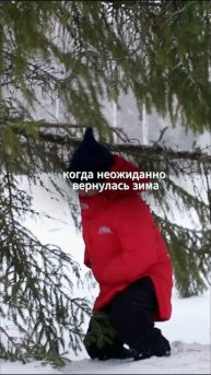 А как погода у вас? Арт. OZON куртка 1215162364, WB 191665733 #fashion #мо