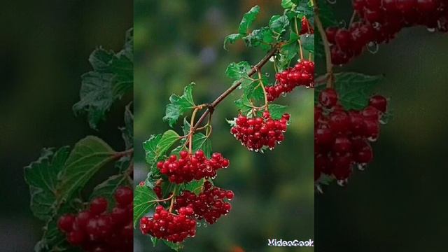 Твоя слеза # христианские стихи