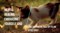 Story # 42: Mental Healing, Embracing Yourself, and the Supportive Role of Feline Assistance