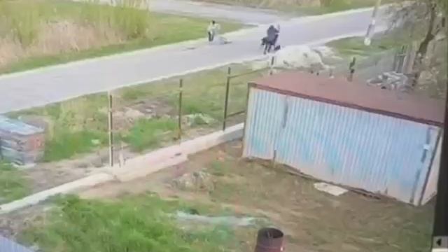 В ШАТУРЕ АЛАБАЙ НАПАЛ НА РЕБЁНКА