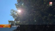 Погода на Могилевщине 23.07.2024 // Переменная облачность, ?