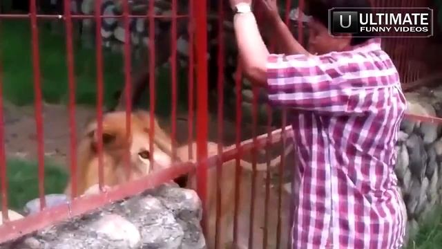 Недетские приколы смотреть всем!