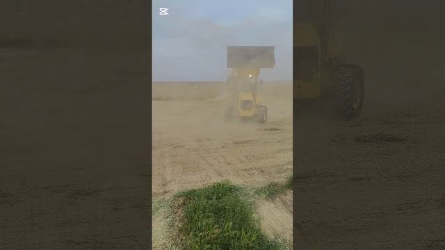 Начало большой стройки.Поддержите морально и материально на благо собачкам