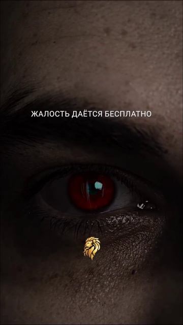 Жалость дается бесплатно, а зависть нужно заслужить