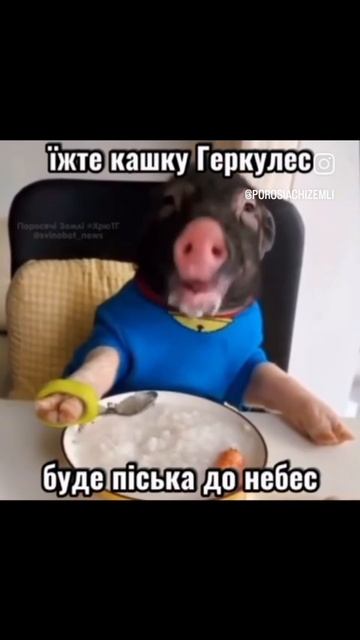 1000032652.mp4