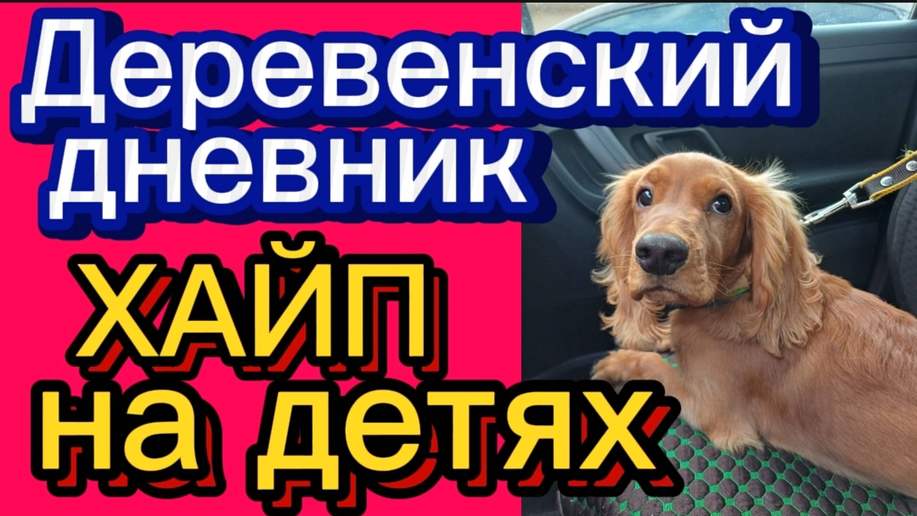 ДЕРЕВЕНСКИЙ ДНЕВНИК. " ХАЙП НА ДЕТЯХ "